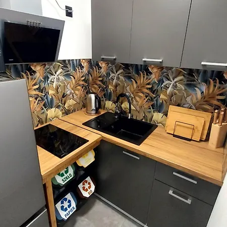 Konukevi Tatra Loft Zakopane *