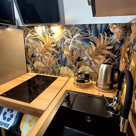 Konukevi Tatra Loft Zakopane