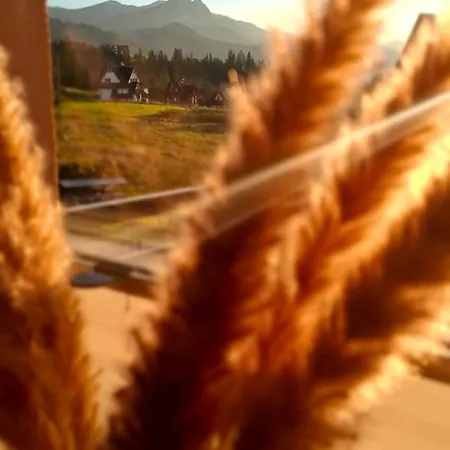 Konukevi Tatra Loft Zakopane Zakopane